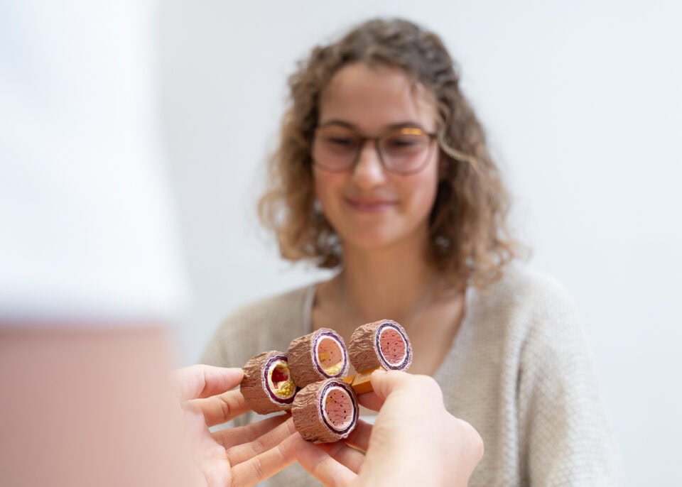 Internistin Trofaiach, Innere Medizin Trofaiach, Ordination Dr. Karin Rubinigg, Arteriosklerosemodell